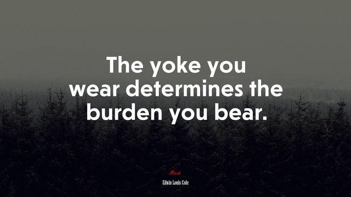 The yoke you wear determines the burden you bear. | Edwin Louis Cole quote