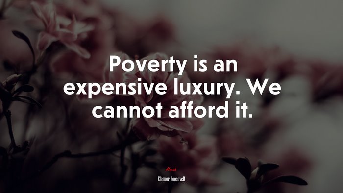 Poverty is an expensive luxury. We cannot afford it. | Eleanor Roosevelt quote