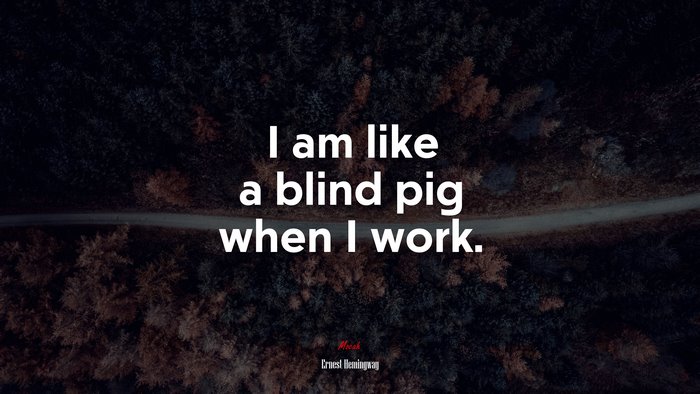 I am like a blind pig when I work. | Ernest Hemingway quote