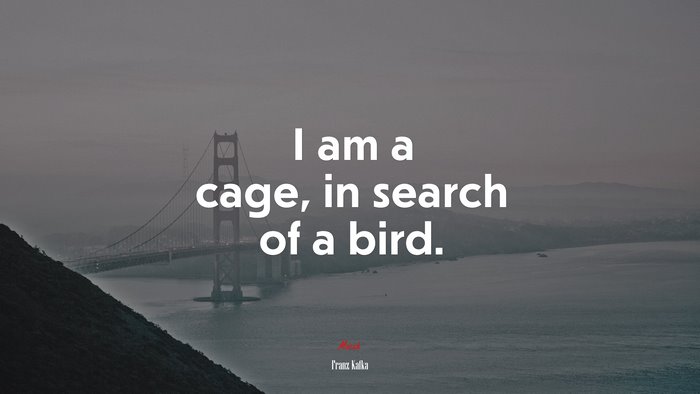 I am a cage, in search of a bird. | Franz Kafka quote