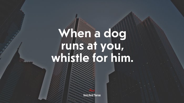 When a dog runs at you, whistle for him. | Henry David Thoreau quote