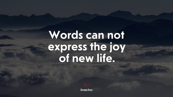 Words can not express the joy of new life. | Hermann Hesse quote