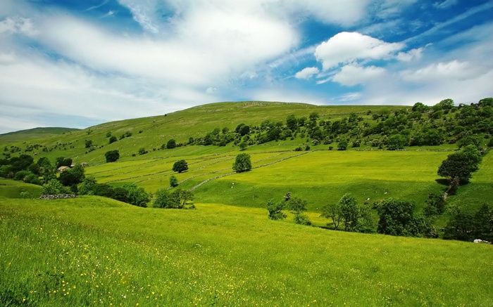 Green rolling hills with scattered trees under a blue sky