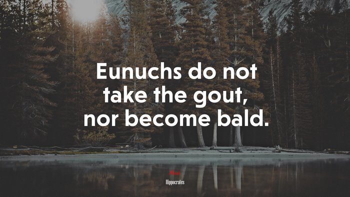 Eunuchs do not take the gout, nor become bald. | Hippocrates quote