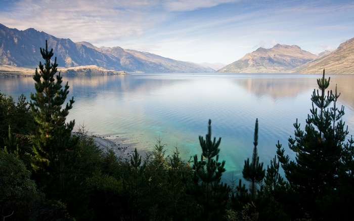 Lake Wakatipu with mountains and pine trees