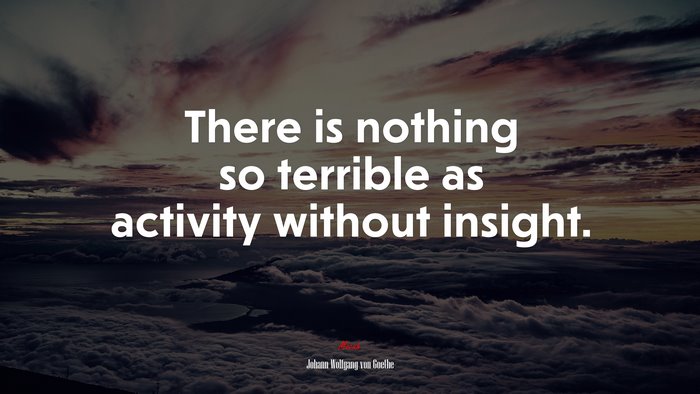 There is nothing so terrible as activity without insight. | Johann Wolfgang von Goethe quote
