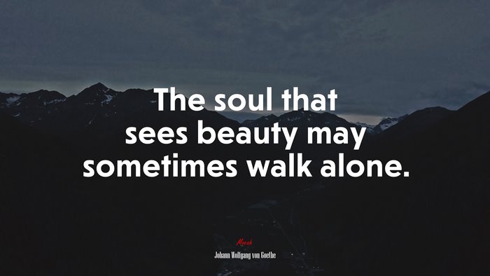 The soul that sees beauty may sometimes walk alone. | Johann Wolfgang von Goethe quote