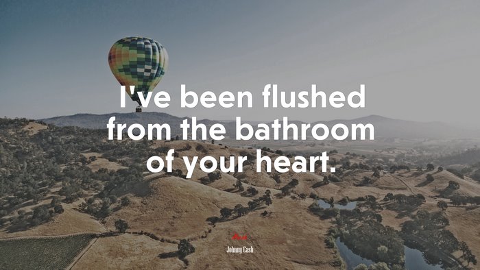 I’ve been flushed from the bathroom of your heart. | Johnny Cash quote