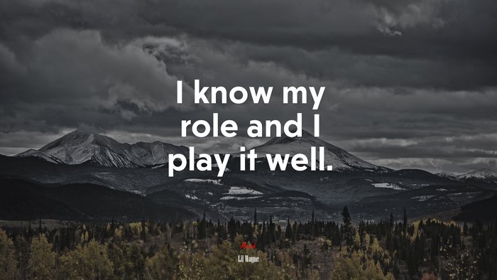 I know my role and I play it well. | Lil Wayne quote