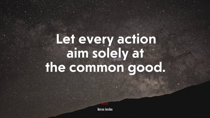 Let every action aim solely at the common good. | Marcus Aurelius quote