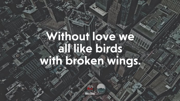 Without love we all like birds with broken wings. | Mitch Albom quote