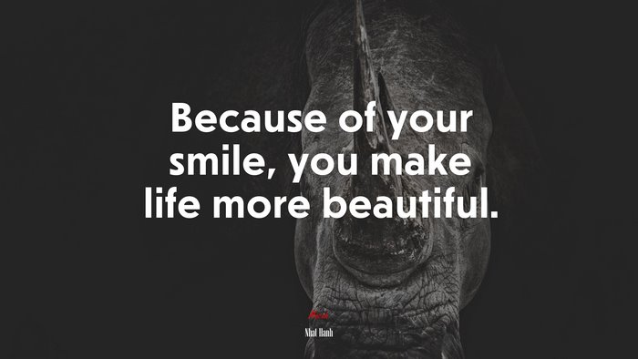 Because of your smile, you make life more beautiful. | Nhat Hanh quote
