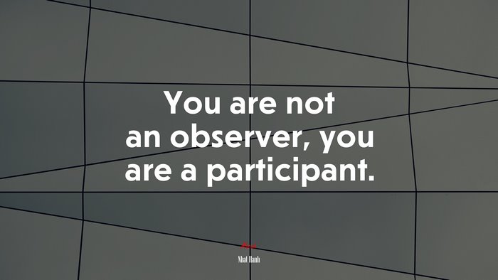 You are not an observer, you are a participant. | Nhat Hanh quote