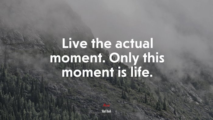 Live the actual moment. Only this moment is life. | Nhat Hanh quote