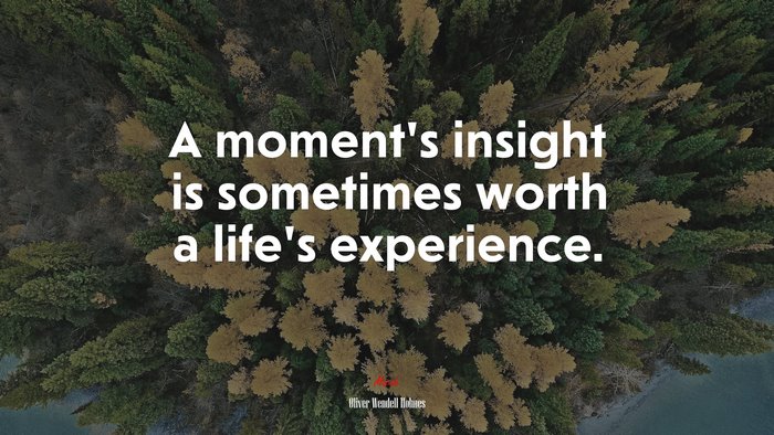 A moment’s insight is sometimes worth a life’s experience. | Oliver Wendell Holmes quote