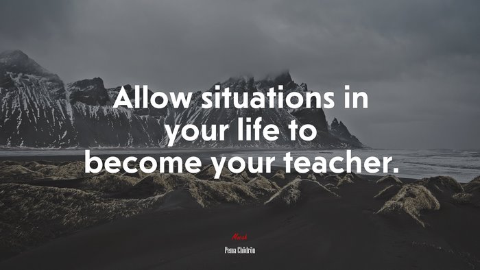 Allow situations in your life to become your teacher. | Pema Chödrön quote