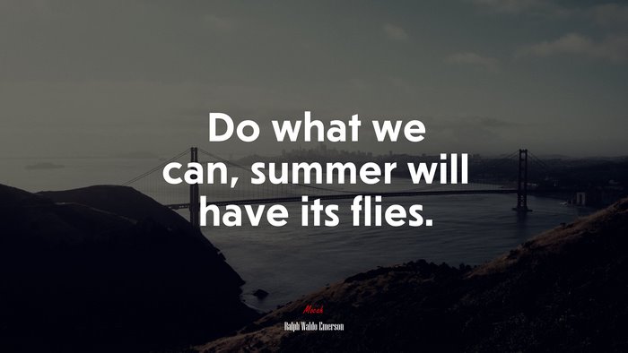 Do what we can, summer will have its flies. | Ralph Waldo Emerson quote