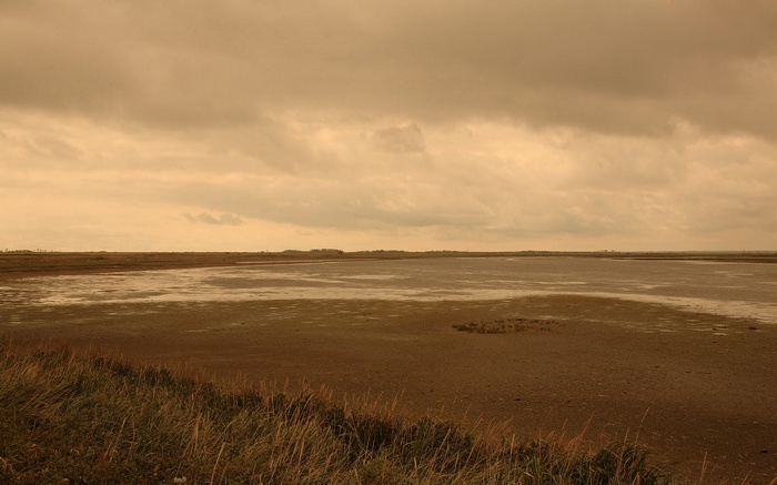 Mudflats under a cloudy sky