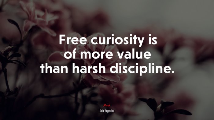Free curiosity is of more value than harsh discipline. | Saint Augustine quote