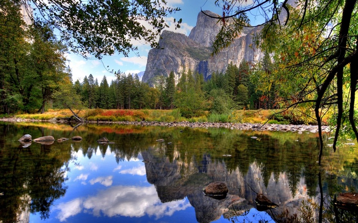 Reflection of Mountains and Trees in a Lake