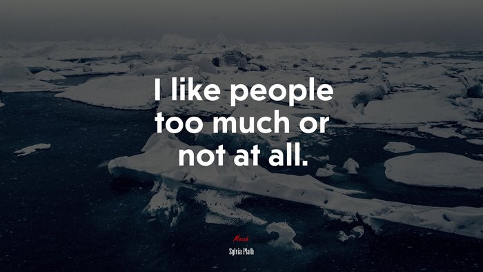 I like people too much or not at all. | Sylvia Plath quote