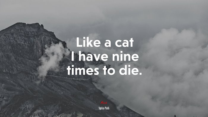 Like a cat I have nine times to die. | Sylvia Plath quote