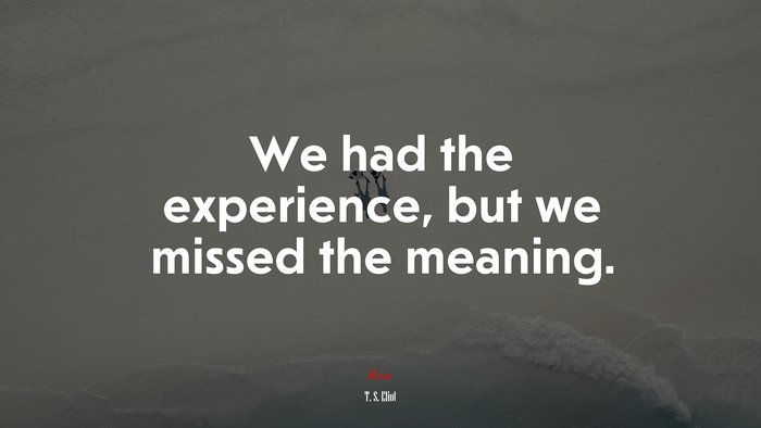 We had the experience, but we missed the meaning. | T. S. Eliot quote