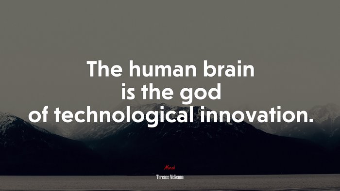 The human brain is the god of technological innovation. | Terence McKenna quote