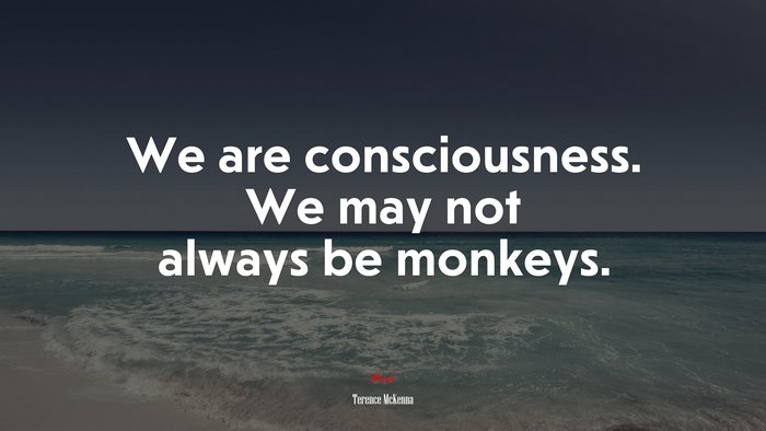 We are consciousness. We may not always be monkeys. | Terence McKenna quote