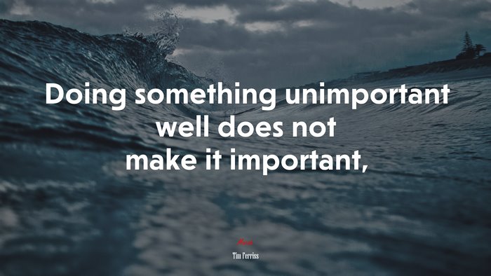Doing something unimportant well does not make it important, | Tim Ferriss quote