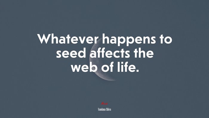 Whatever happens to seed affects the web of life. | Vandana Shiva quote