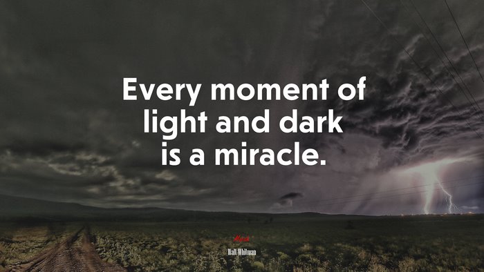 Every moment of light and dark is a miracle. | Walt Whitman quote