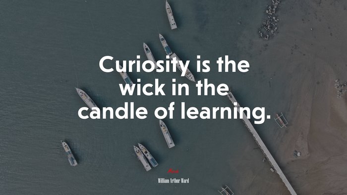 Curiosity is the wick in the candle of learning. | William Arthur Ward quote