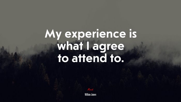 My experience is what I agree to attend to. | William James quote