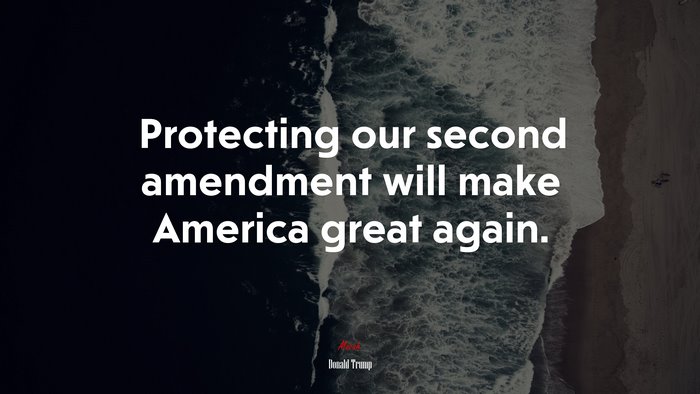 Protecting our second amendment will make America great again. | Donald Trump quote