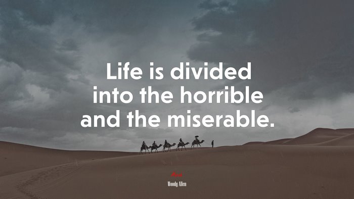Life is divided into the horrible and the miserable. | Woody Allen quote