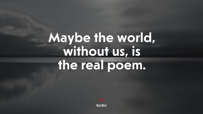Maybe the world, without us, is the real poem. | Mary Oliver quote