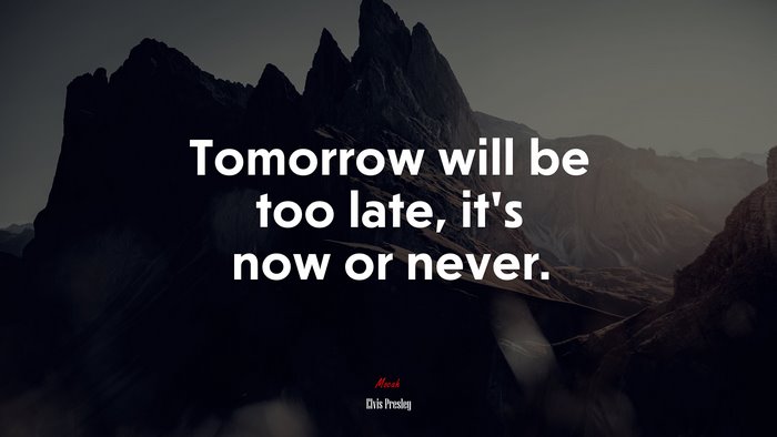 Tomorrow will be too late, it’s now or never. | Elvis Presley quote