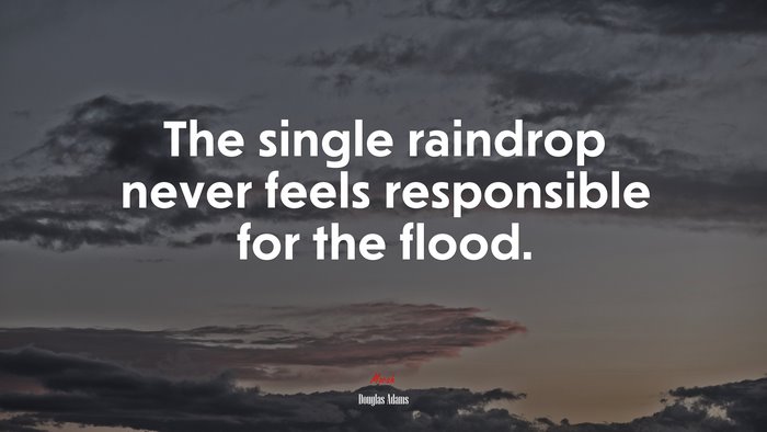 The single raindrop never feels responsible for the flood. | Douglas Adams quote