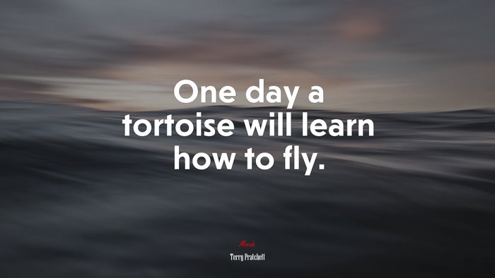 One day a tortoise will learn how to fly. | Terry Pratchett quote