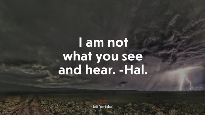 I am not what you see and hear. -Hal. | David Foster Wallace quote