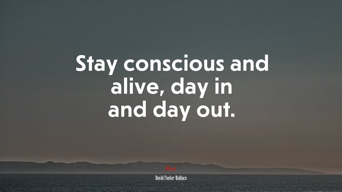 Stay conscious and alive, day in and day out. | David Foster Wallace quote