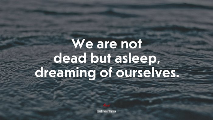 We are not dead but asleep, dreaming of ourselves. | David Foster Wallace quote