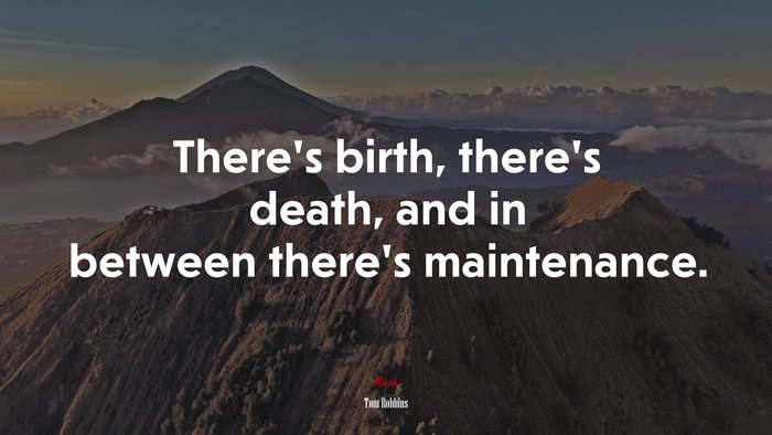 There’s birth, there’s death, and in between there’s maintenance. | Tom Robbins quote