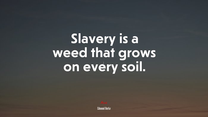 Slavery is a weed that grows on every soil. | Edmund Burke quote