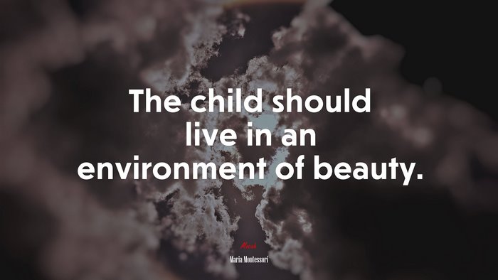 The child should live in an environment of beauty. | Maria Montessori quote