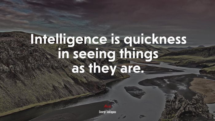 Intelligence is quickness in seeing things as they are. | George Santayana quote