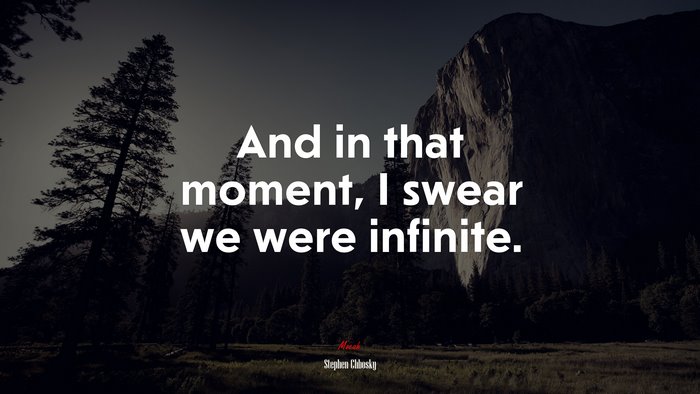 And in that moment, I swear we were infinite. | Stephen Chbosky quote