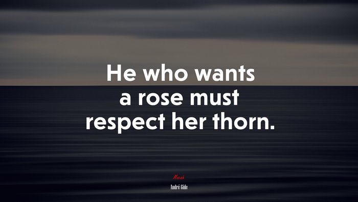 He who wants a rose must respect her thorn. | André Gide quote