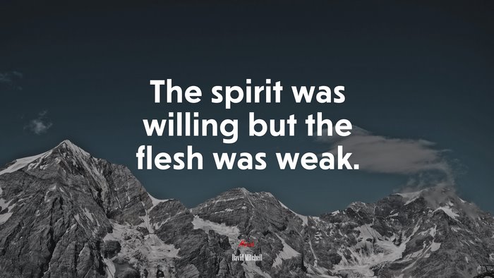 The spirit was willing but the flesh was weak. | David Mitchell quote